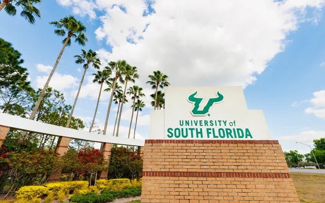 The University of South Florida entrance sign on a brick base, with palm trees and red flowering shrubs under a blue sky.